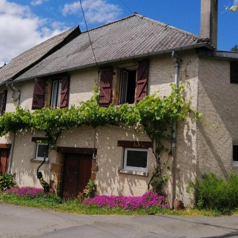Maison familiale coteaux de la Vézère - B&B Voutezac