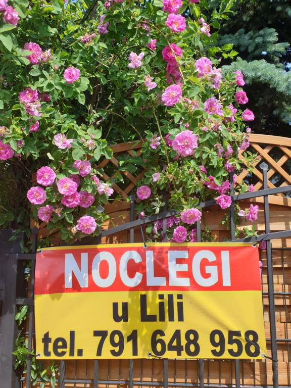 Noclegi u Lili - Ferienwohnung Człuchów