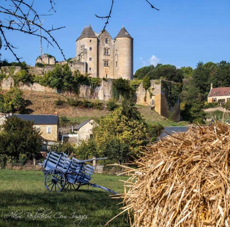 petite maison en pierre au coeur du Périgord noir - Ferienwohnung Salignac-Eyvigues