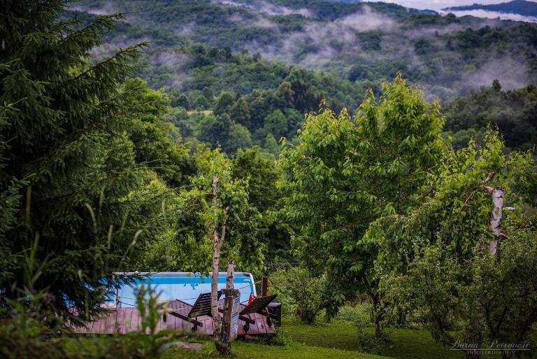 Guest House Lagotto's Peak - Bed and Breakfast Radatovići
