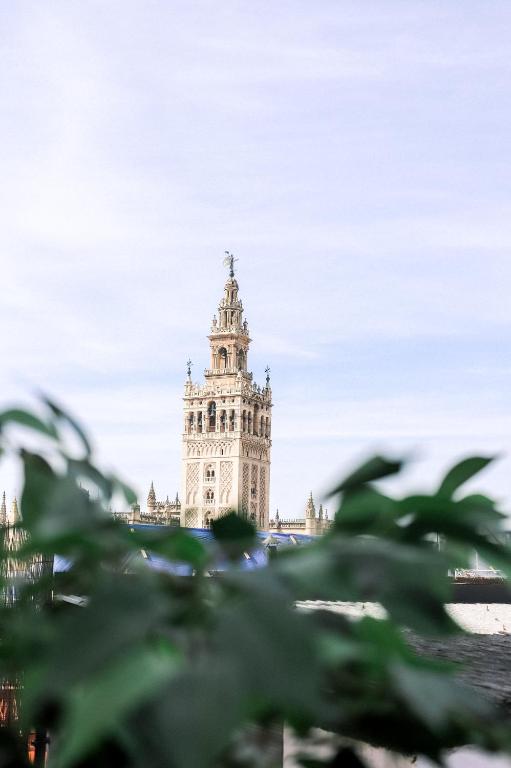 Alohamundi Catedral - B&B Sevilla