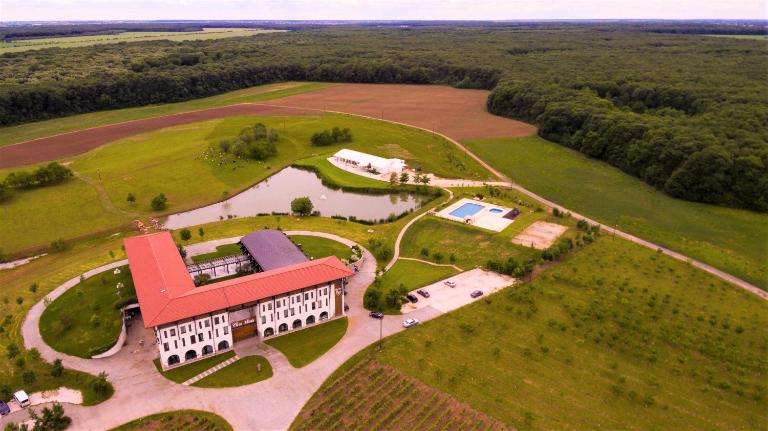 Casa Vlasia - Bed and Breakfast Snagov