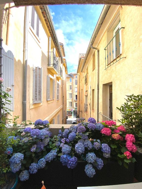 Dar Saad Appartement terrasse climatisation centre d Aix - Bed and Breakfast Aix-en-Provence