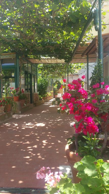 Villa dei fiori B&B - B&B Ciudad de Capri