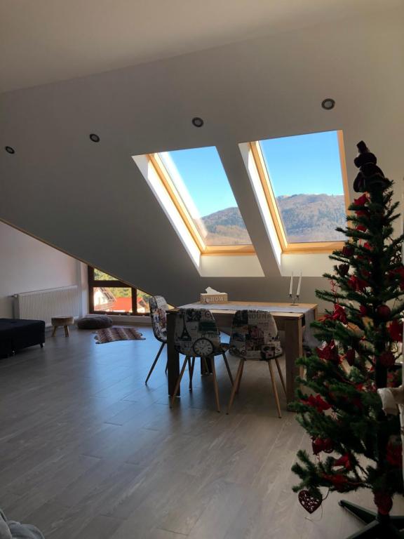 Apartament Andy Busteni 30 m de partie - B&B Buşteni