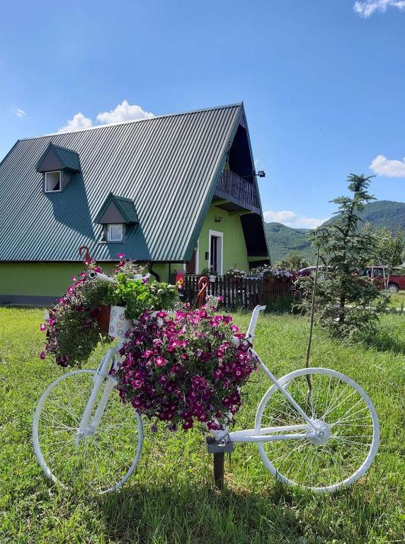 Villa Jasikovac - B&B Berane