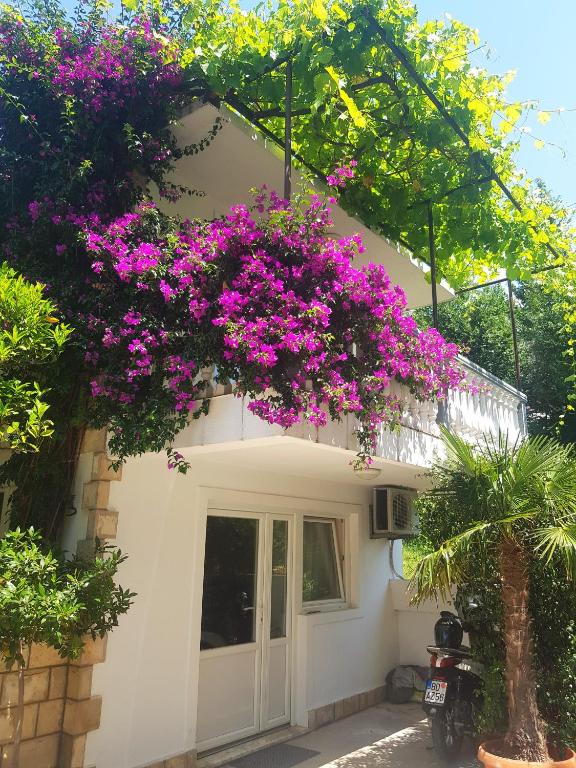 Apartments Irena - B&B Bečići