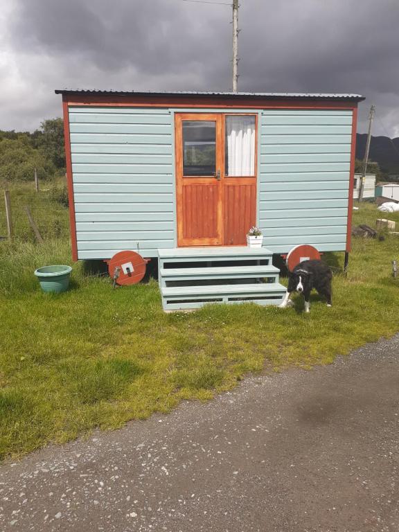 Croft of Clune Shepherds Hut - Bed and Breakfast Newtonmore