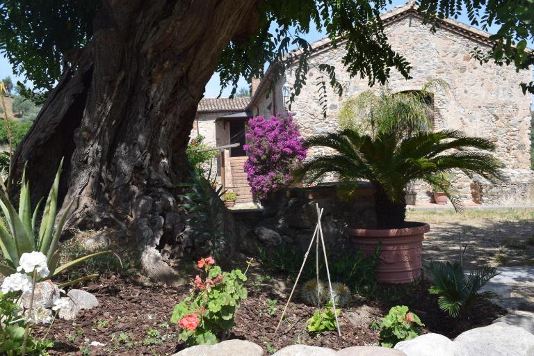 Agriturismo Fellino - B&B Rossano