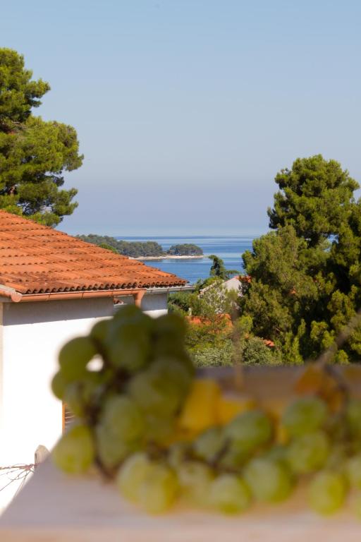Studio Apartman Nega 2 - Bed and Breakfast Rovinj