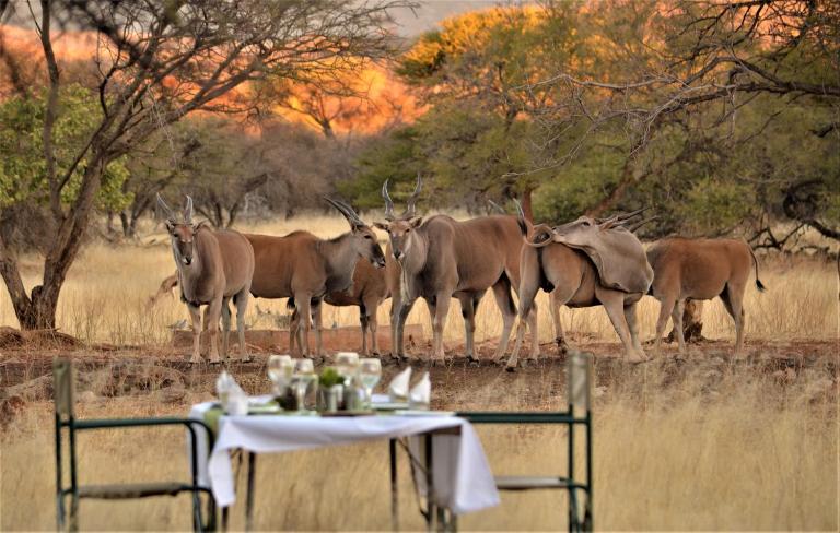 Ohange Namibia Lodge - B&B Otavi