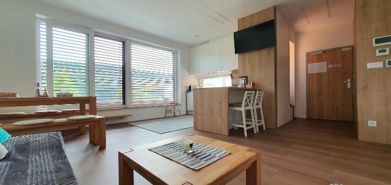 Penthouse apartmán Minerál B-4 - B&B Bardejovské Kúpele