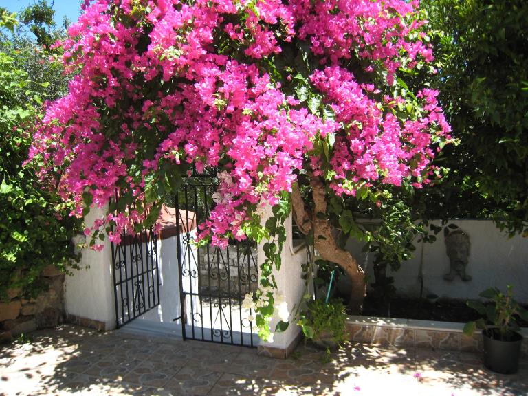 Eleftheria Lindian Studios II - Chambres d'hôtes Lindos