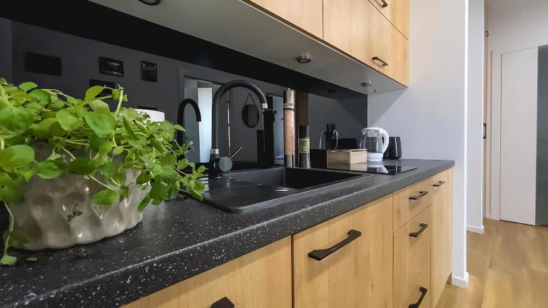 Apartament Naturalny-Lake Apartments, osiedle Calamo Park-Olsztyn - B&B Olsztyn