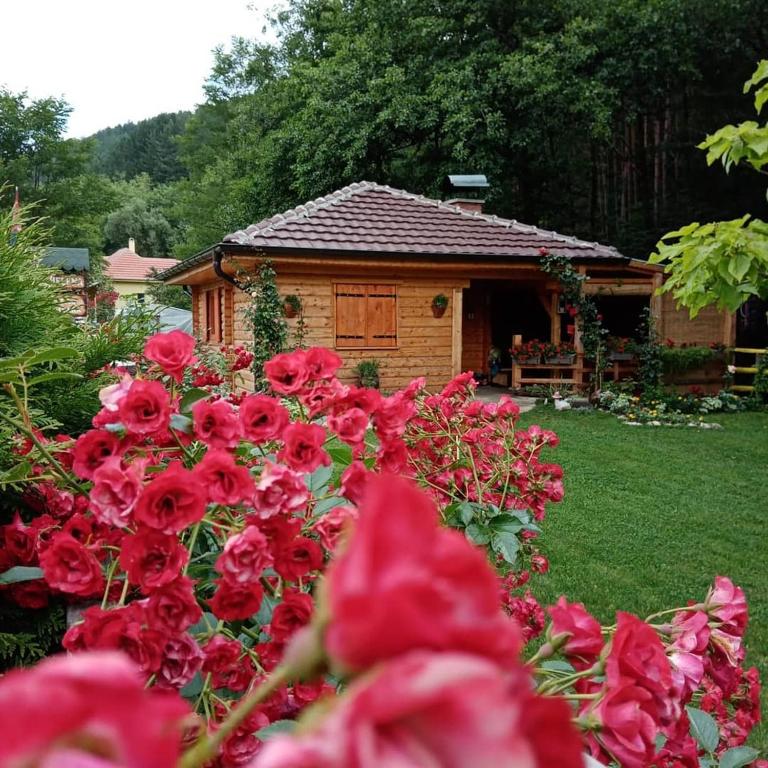 Vila Helena - B&B Colići
