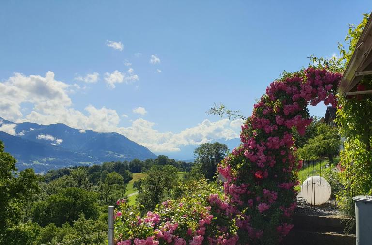 Ferienwohnung Düns4 - B&B Düns
