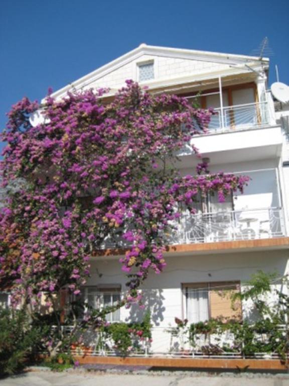 Apartman Graciela Perfect location Gradac - Chambres d'hôtes Gradac