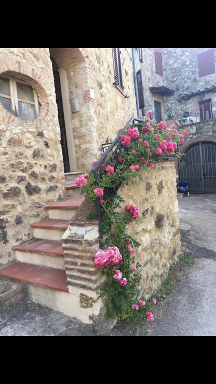 Rosa di Maggio - B&B Pari