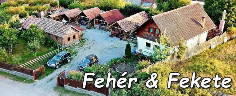 Casa Rustica Fehér Fekete Vendégházak - B&B Sovata