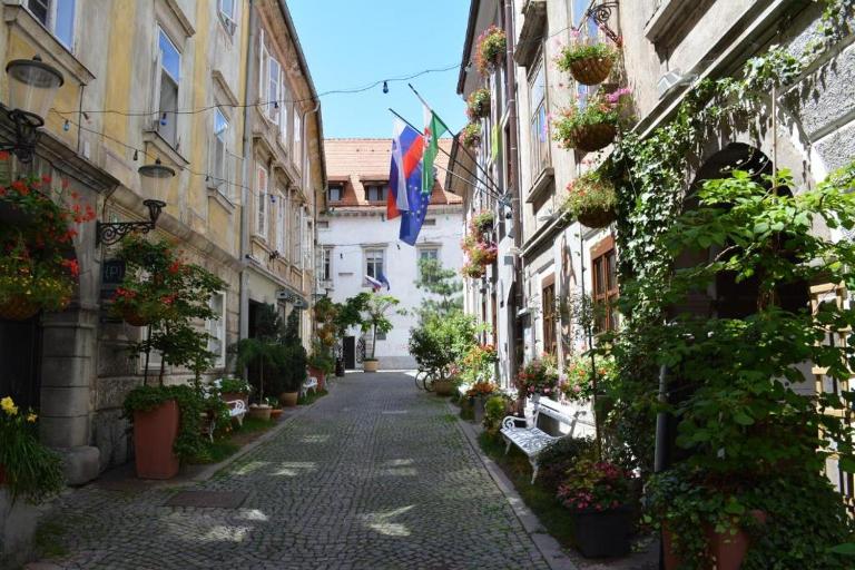 Codelli Deluxe City Centre Apartments - B&B Ljubljana