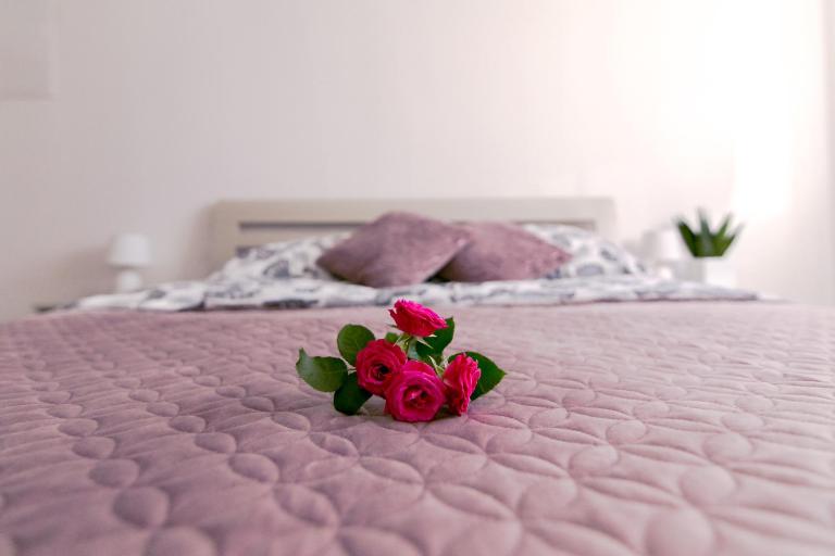 Apartament u Andrzeja - Chambres d'hôtes Polanica-Zdrój
