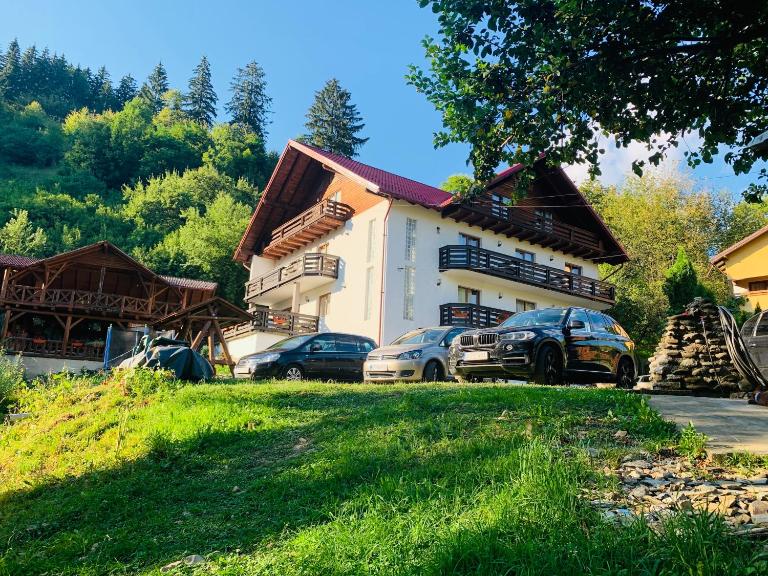 Pensiunea Pietrosul - B&B Borşa