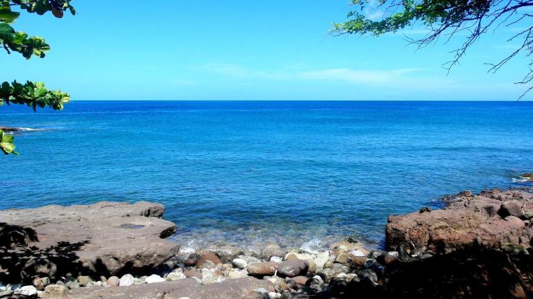 Paradise Bay - B&B Deshaies