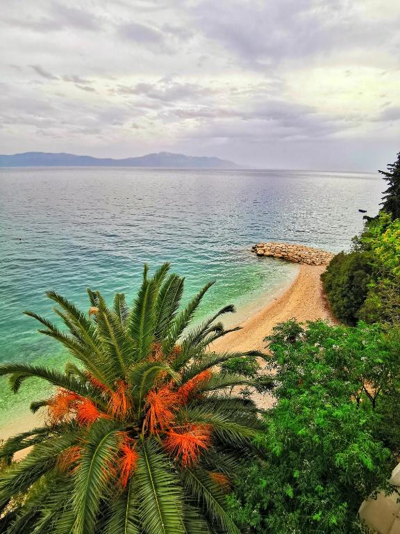 Apartmani Elena i Branko - B&B Brist