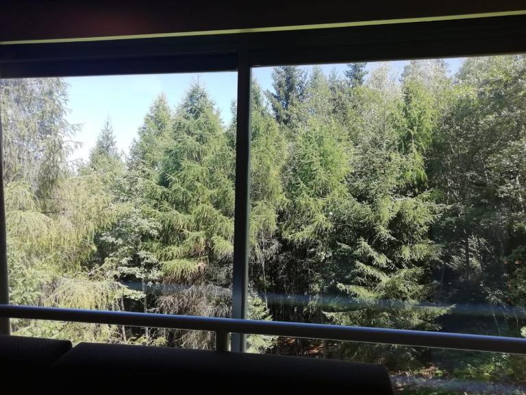 FINESTRA SUL BOSCO - MONOLOCALE MARILLEVA 1400 - Ferienwohnung Marilleva 1400