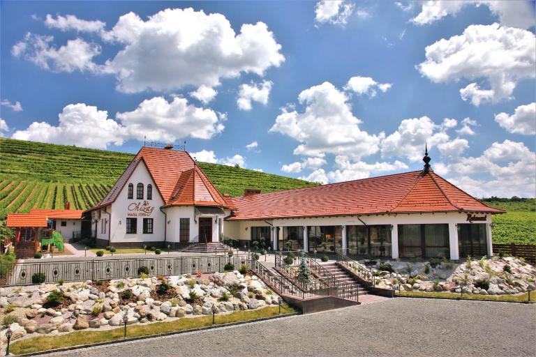 Chizay. Мала Гора - B&B Berehove