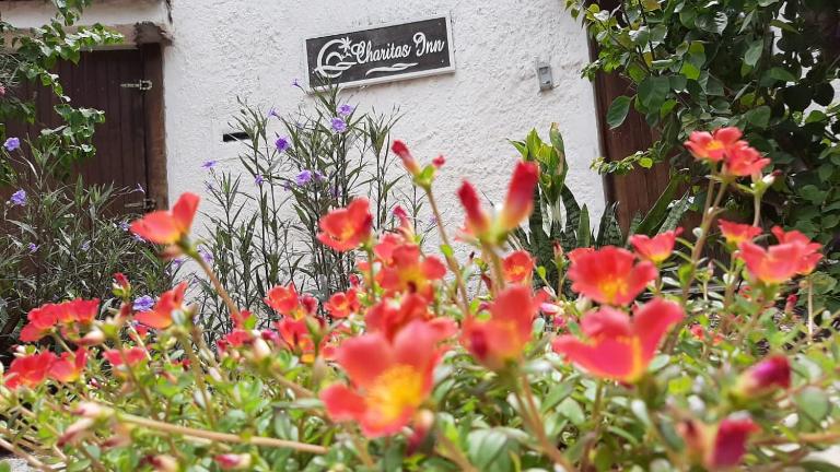 Pousada Charitas Inn - B&B Niterói