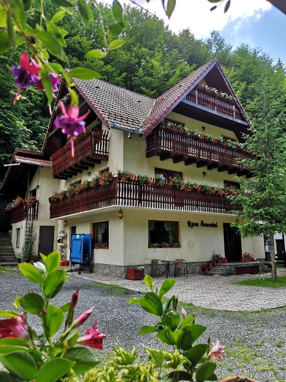 Raza Soarelui - B&B Moeciu de Sus