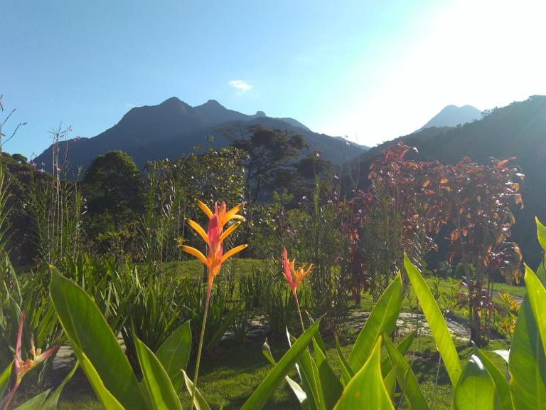 Flats Refugio da Mata - Bed and Breakfast Paraty