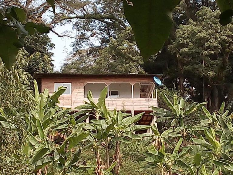 Casa de Andréa - B&B Santo António