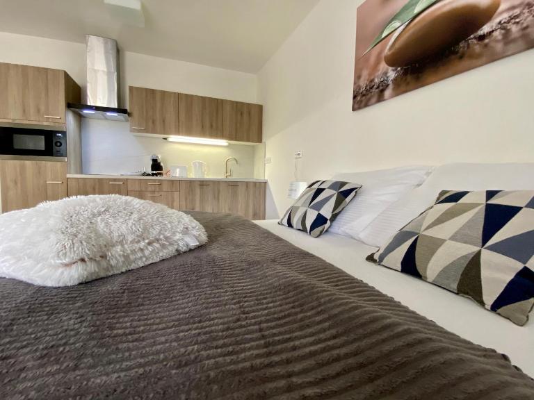 Apartmány Duo Třeboň - Chambres d'hôtes Třeboň