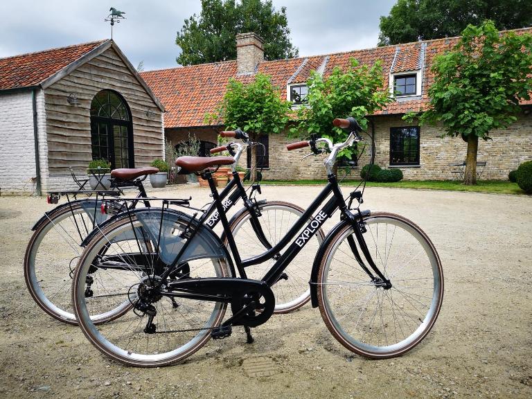 Casa Leone near Bruges with jacuzzi & parking - B&B Ruddervoorde
