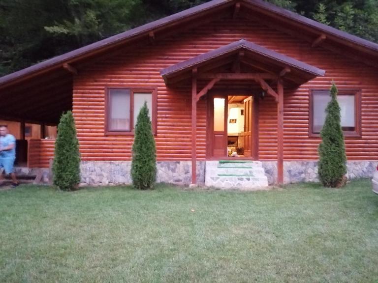 Cabana Dan - Ferienwohnung Şugag