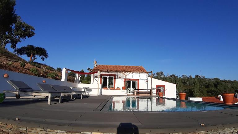 Gecko Pego Longo - B&B São Luis