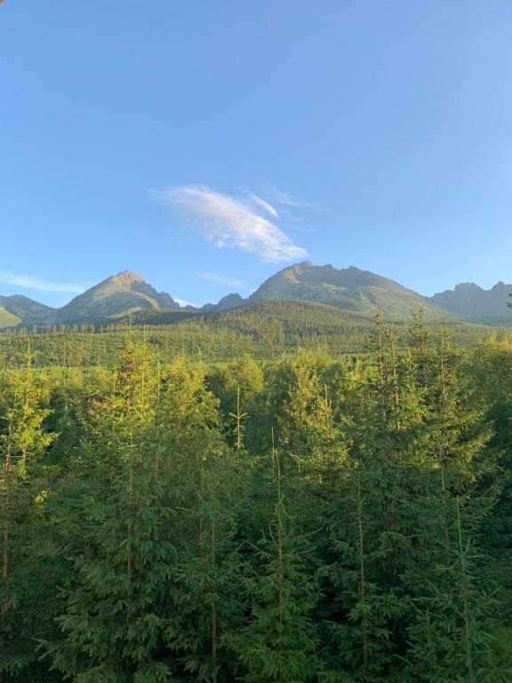 Apartment No.35 - B&B Vysoké Tatry