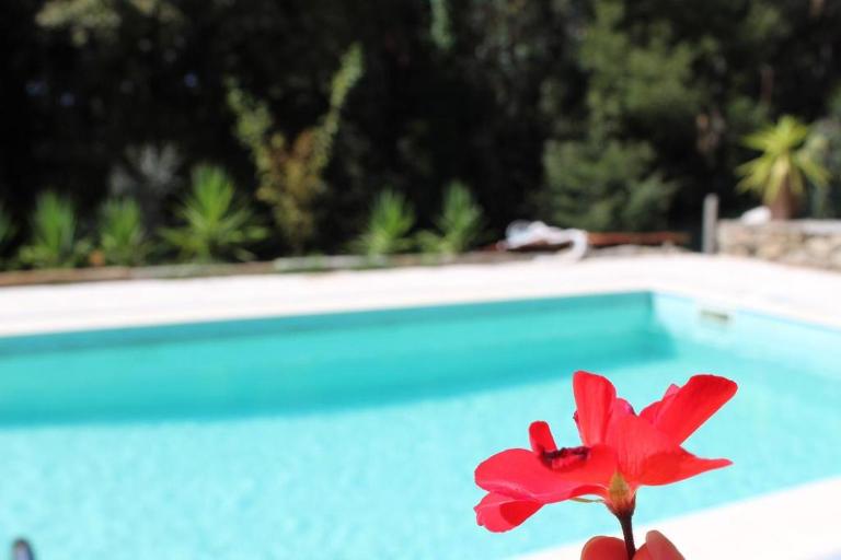 Bosque dos Amieiros - Bed and Breakfast Marco de Canaveses