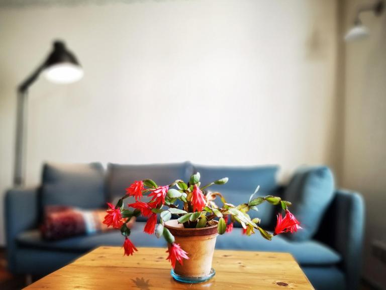 charmantes Apartment Siebenschläfer - Ferienwohnung Café 7 - B&B Weida