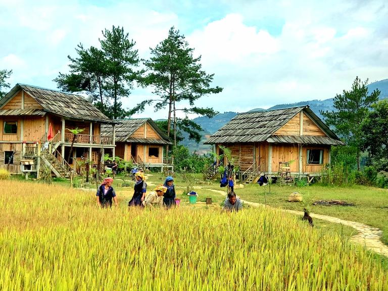 Lapantan Paradise - B&B Mù Cang Chải