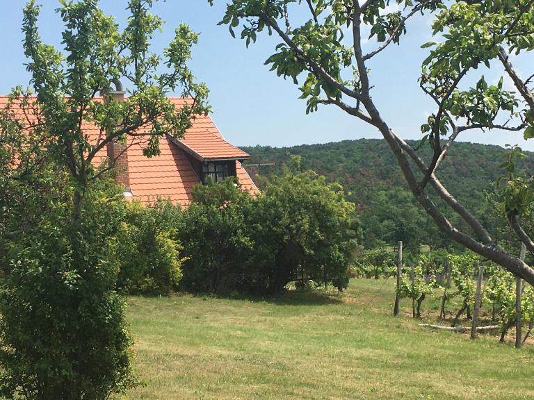 Holiday Home in Dörgicse Vineyard - B&B Dörgicse