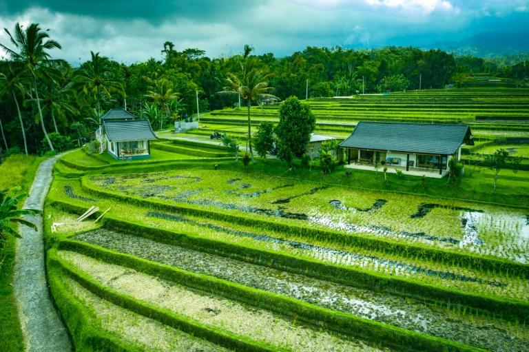 KUBU D'UME HOMESTAY - B&B Jatiwala