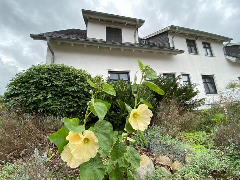 Ferienwohnung auf Rügen mit Boddenblick - B&B Groß Zicker