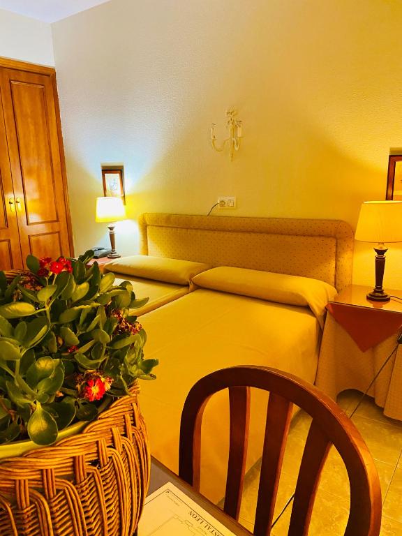 Hostal León - B&B Trujillo