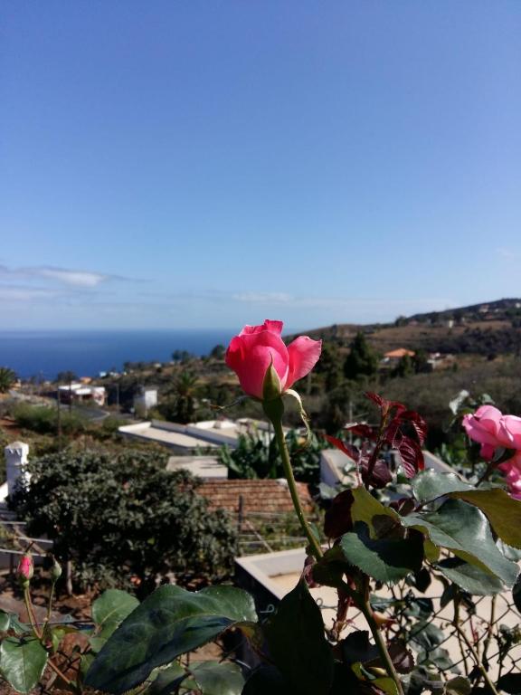 Vivienda vacacional La Graja - B&B Santa Cruz de la Palma