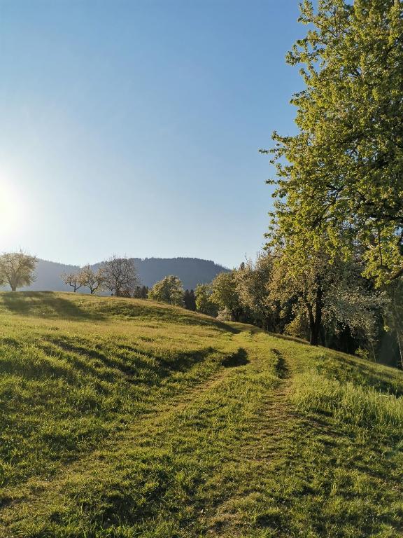 Apartma Lesjak - pobeg v naravo - Bed and Breakfast Mozirje