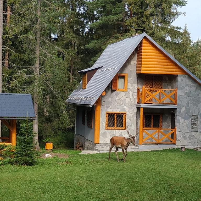 Chata Tatry - Ferienwohnung Tatranská Štrba