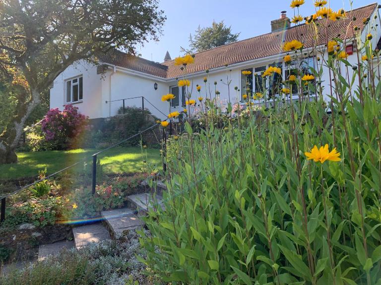 Wingmore - B&B Salisbury